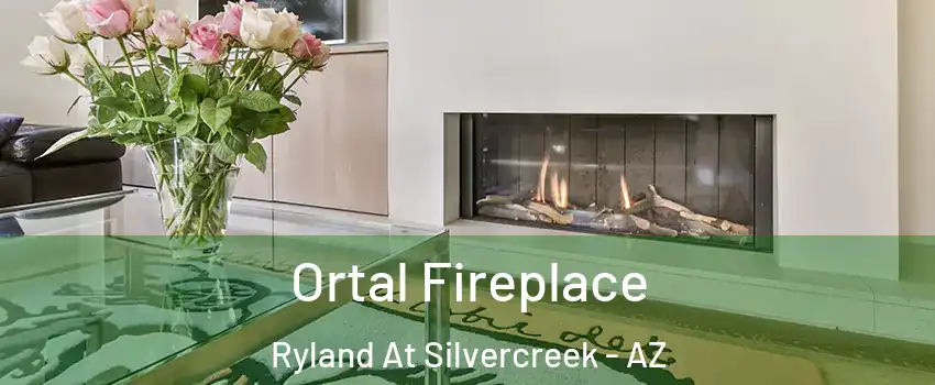 Ortal Fireplace Ryland At Silvercreek - AZ