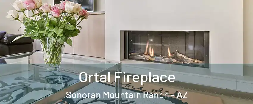 Ortal Fireplace Sonoran Mountain Ranch - AZ