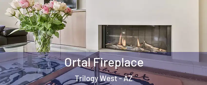 Ortal Fireplace Trilogy West - AZ