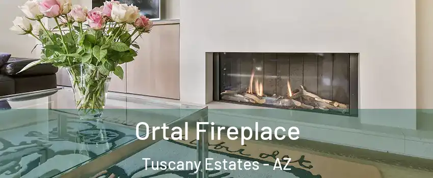 Ortal Fireplace Tuscany Estates - AZ