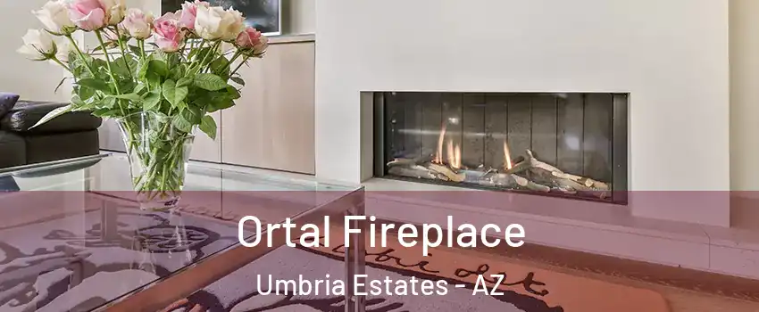 Ortal Fireplace Umbria Estates - AZ