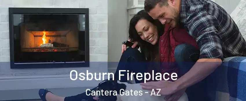 Osburn Fireplace Cantera Gates - AZ