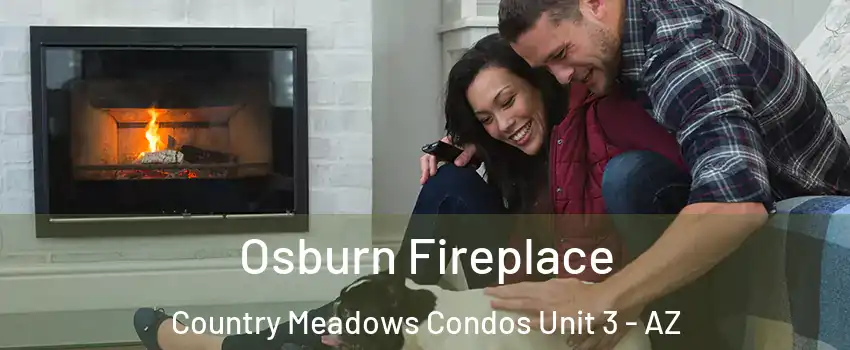 Osburn Fireplace Country Meadows Condos Unit 3 - AZ
