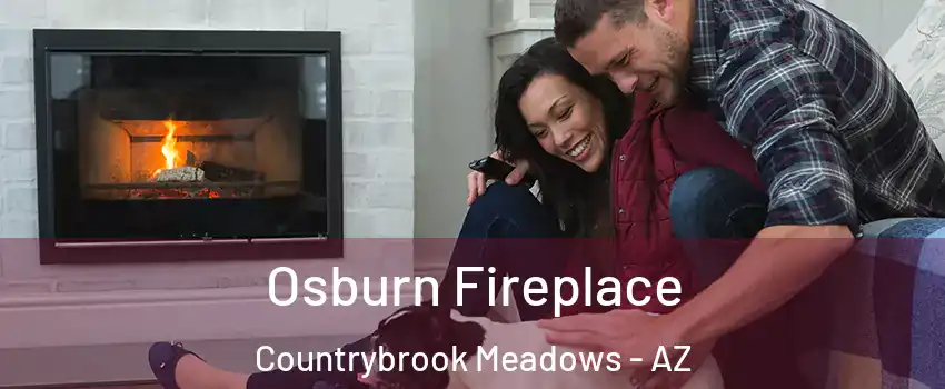 Osburn Fireplace Countrybrook Meadows - AZ