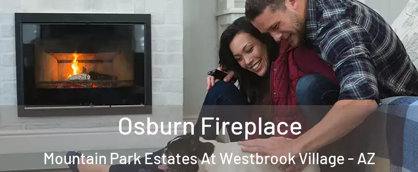 Osburn Fireplace Mountain Park Estates At Westbrook Village - AZ