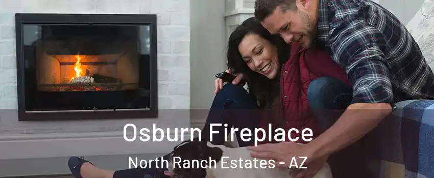 Osburn Fireplace North Ranch Estates - AZ