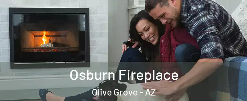 Osburn Fireplace Olive Grove - AZ
