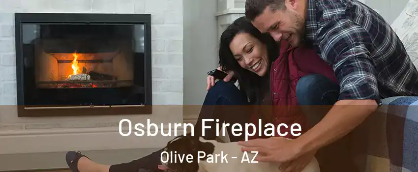 Osburn Fireplace Olive Park - AZ