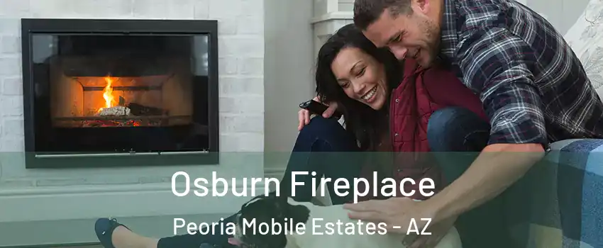 Osburn Fireplace Peoria Mobile Estates - AZ