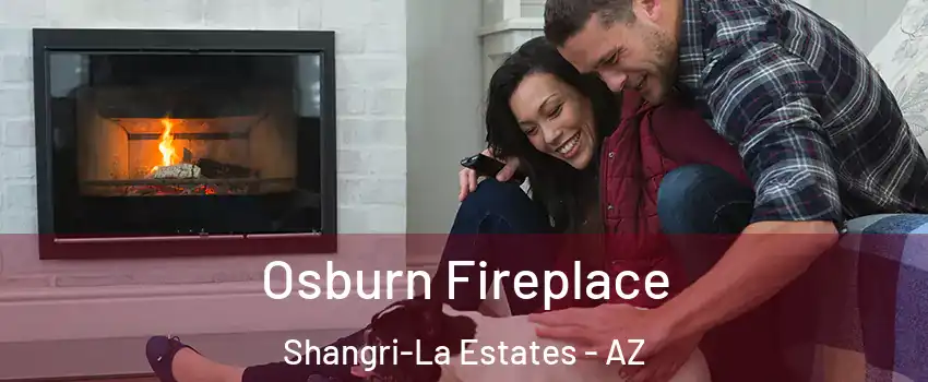 Osburn Fireplace Shangri-La Estates - AZ
