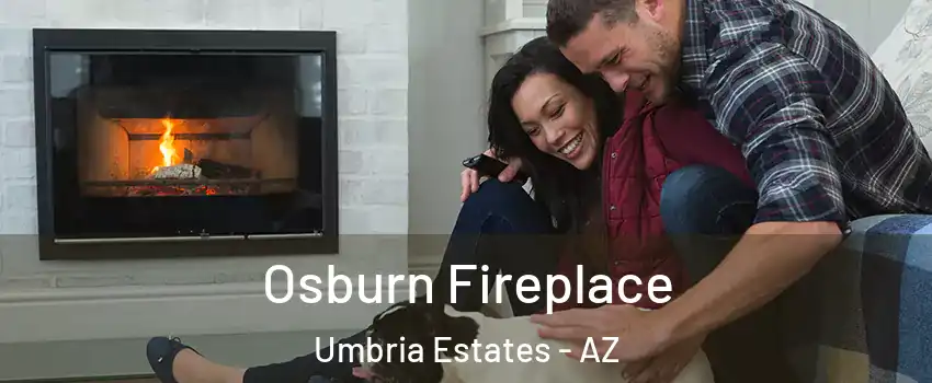Osburn Fireplace Umbria Estates - AZ