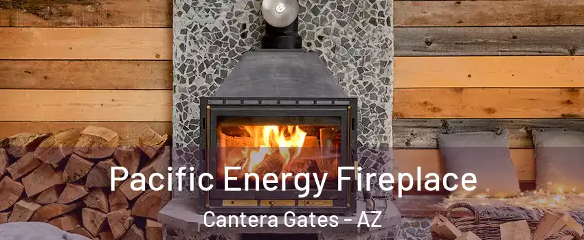 Pacific Energy Fireplace Cantera Gates - AZ