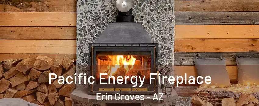 Pacific Energy Fireplace Erin Groves - AZ