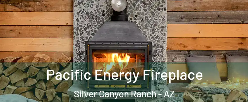 Pacific Energy Fireplace Silver Canyon Ranch - AZ