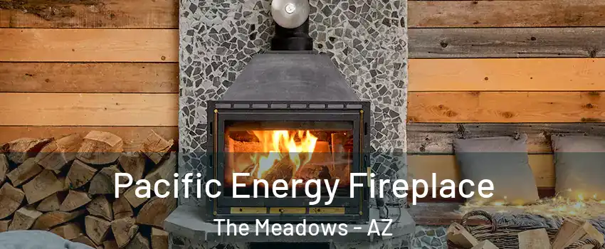 Pacific Energy Fireplace The Meadows - AZ