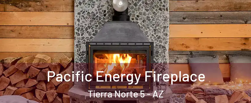 Pacific Energy Fireplace Tierra Norte 5 - AZ