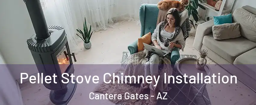 Pellet Stove Chimney Installation Cantera Gates - AZ