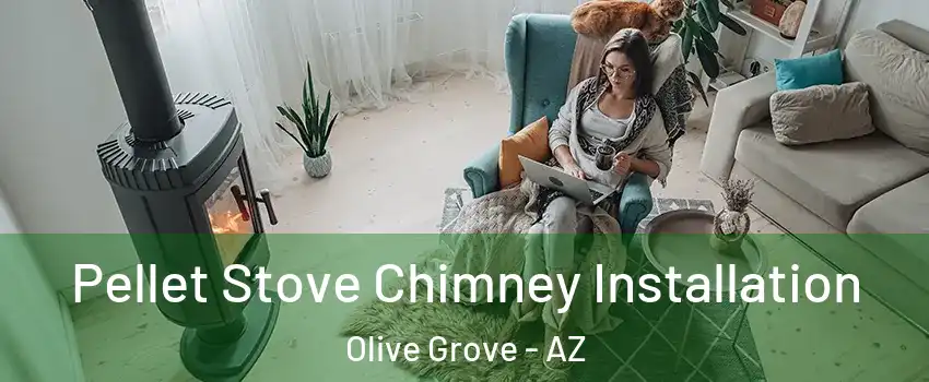 Pellet Stove Chimney Installation Olive Grove - AZ