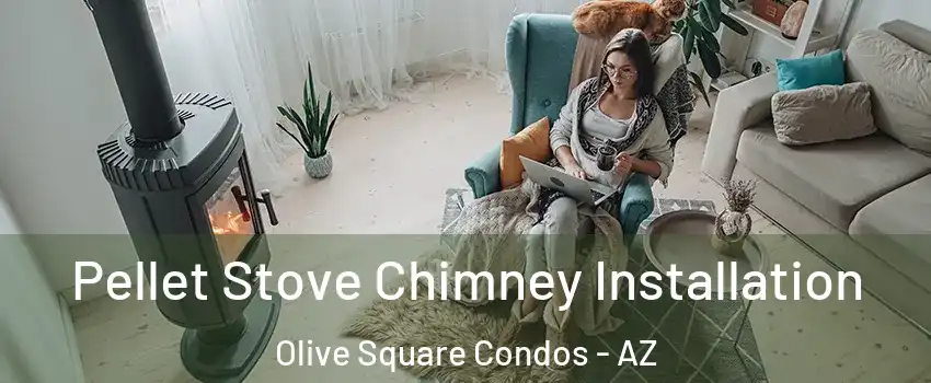 Pellet Stove Chimney Installation Olive Square Condos - AZ