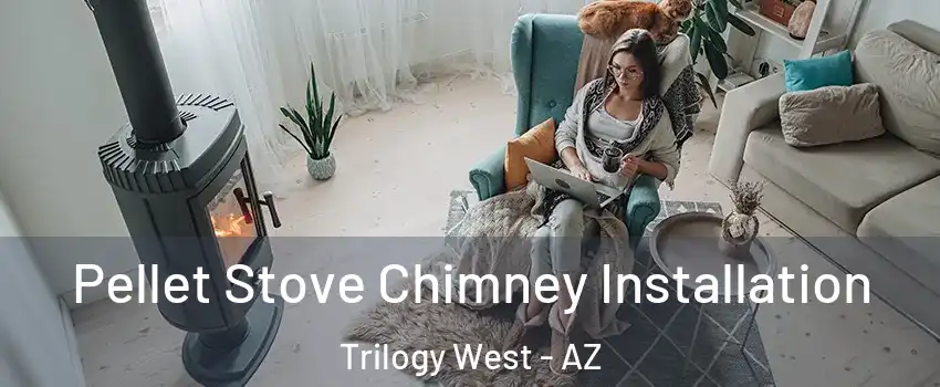 Pellet Stove Chimney Installation Trilogy West - AZ