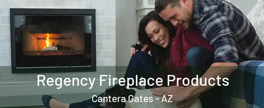 Regency Fireplace Products Cantera Gates - AZ