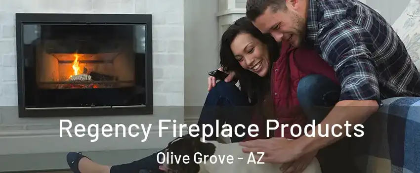 Regency Fireplace Products Olive Grove - AZ