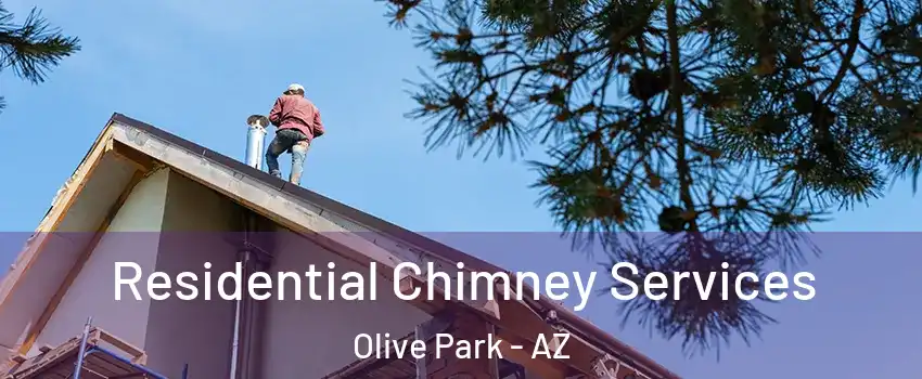 Residential Chimney Services Olive Park - AZ