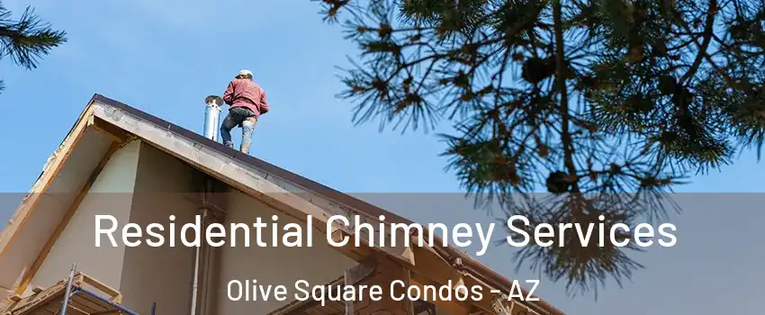 Residential Chimney Services Olive Square Condos - AZ