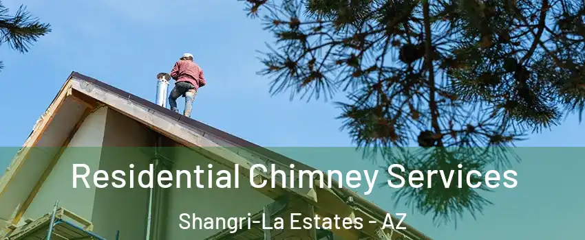 Residential Chimney Services Shangri-La Estates - AZ