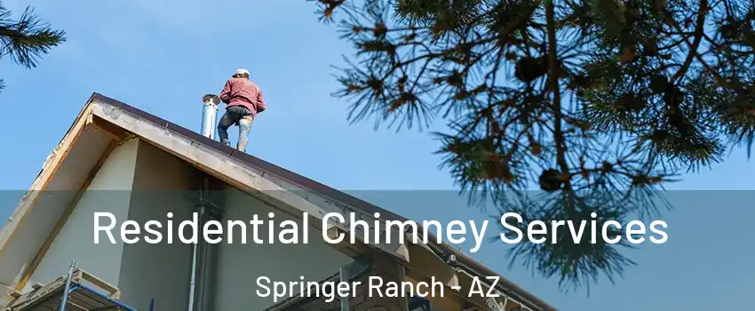 Residential Chimney Services Springer Ranch - AZ