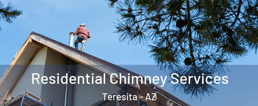 Residential Chimney Services Teresita - AZ