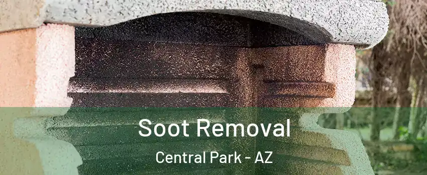 Soot Removal Central Park - AZ
