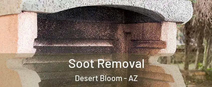 Soot Removal Desert Bloom - AZ