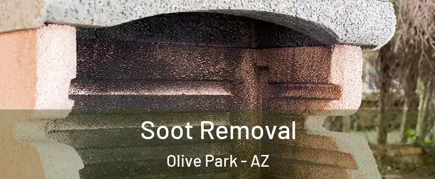 Soot Removal Olive Park - AZ