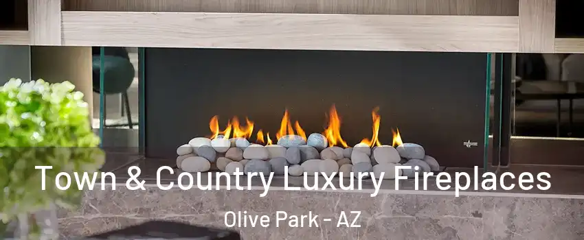 Town & Country Luxury Fireplaces Olive Park - AZ