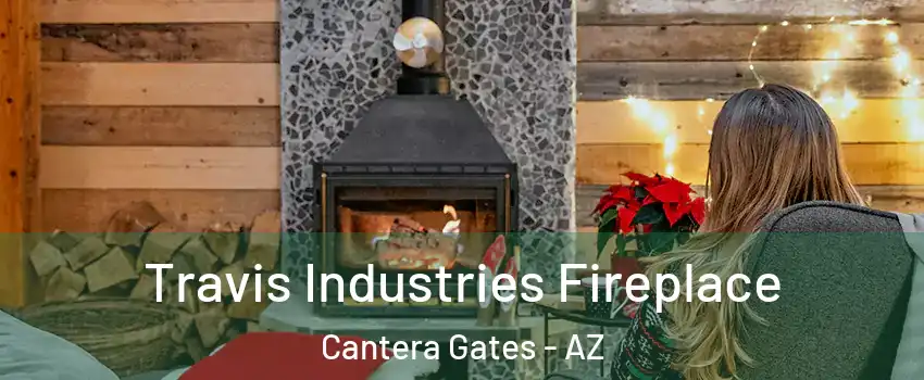 Travis Industries Fireplace Cantera Gates - AZ