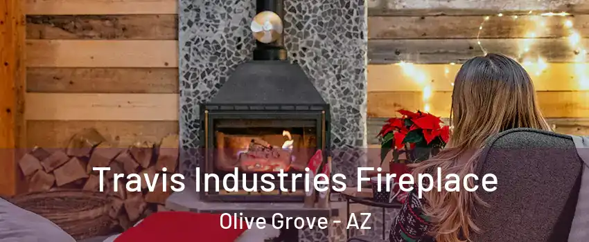 Travis Industries Fireplace Olive Grove - AZ