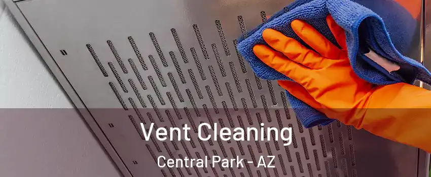 Vent Cleaning Central Park - AZ