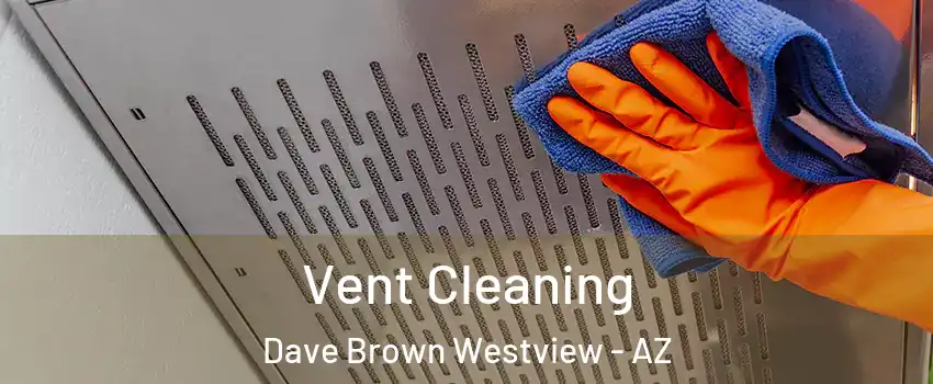 Vent Cleaning Dave Brown Westview - AZ