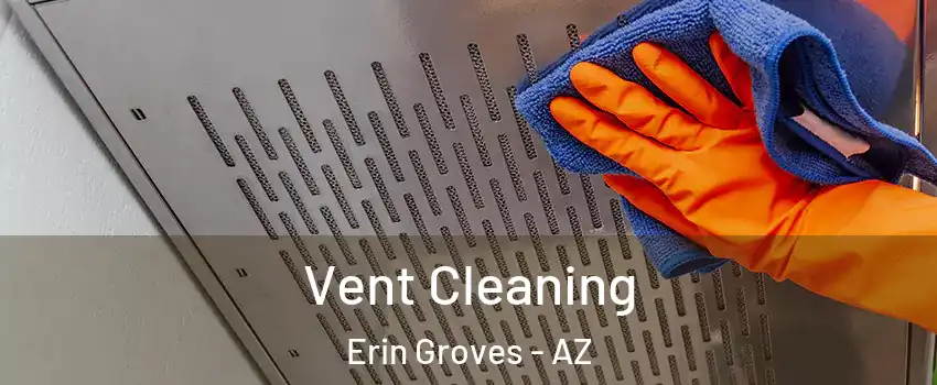 Vent Cleaning Erin Groves - AZ