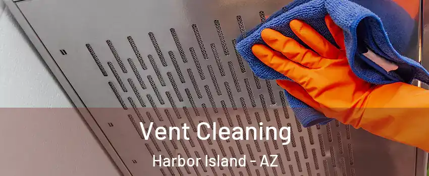 Vent Cleaning Harbor Island - AZ