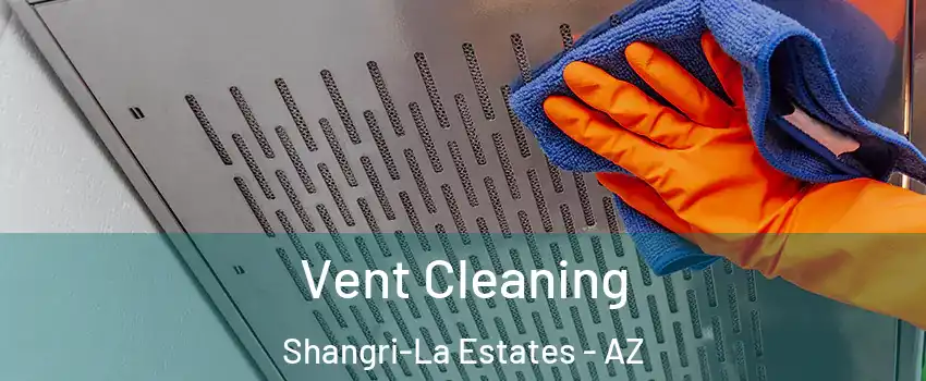 Vent Cleaning Shangri-La Estates - AZ