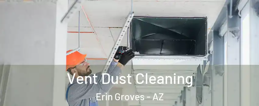 Vent Dust Cleaning Erin Groves - AZ