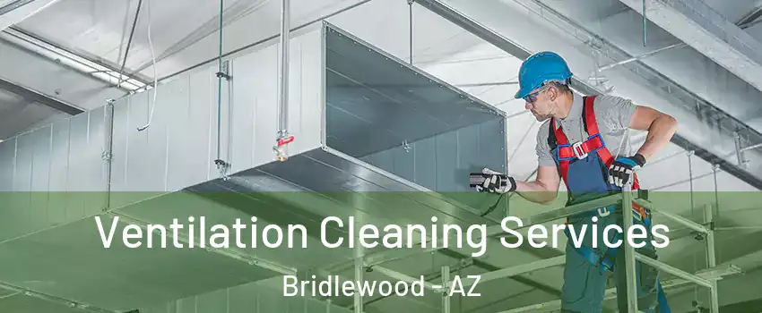 Ventilation Cleaning Services Bridlewood - AZ