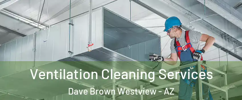 Ventilation Cleaning Services Dave Brown Westview - AZ