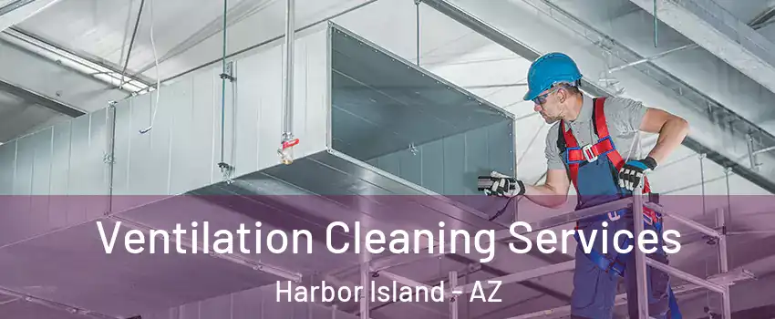 Ventilation Cleaning Services Harbor Island - AZ