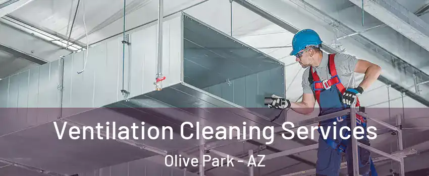 Ventilation Cleaning Services Olive Park - AZ