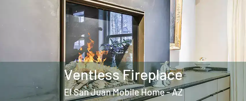 Ventless Fireplace El San Juan Mobile Home - AZ
