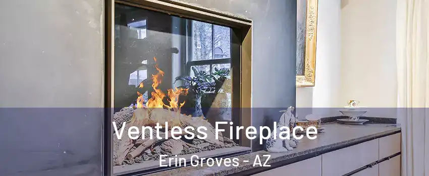 Ventless Fireplace Erin Groves - AZ