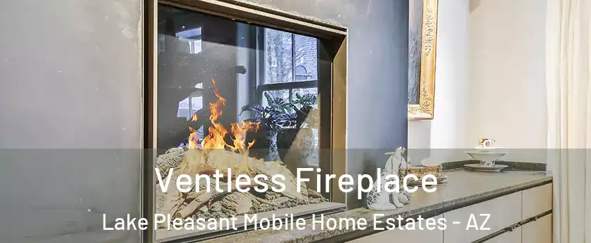 Ventless Fireplace Lake Pleasant Mobile Home Estates - AZ